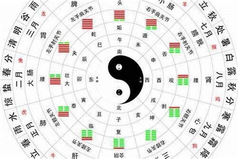 日柱怎麼看|日柱代表的是什么 天干與地支很關鍵